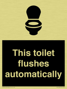 This toilet flushes automatically